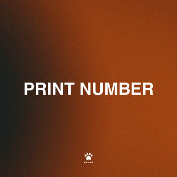 Print Number