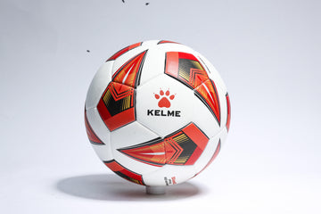 PROFESSIONAL SOCCER BALL